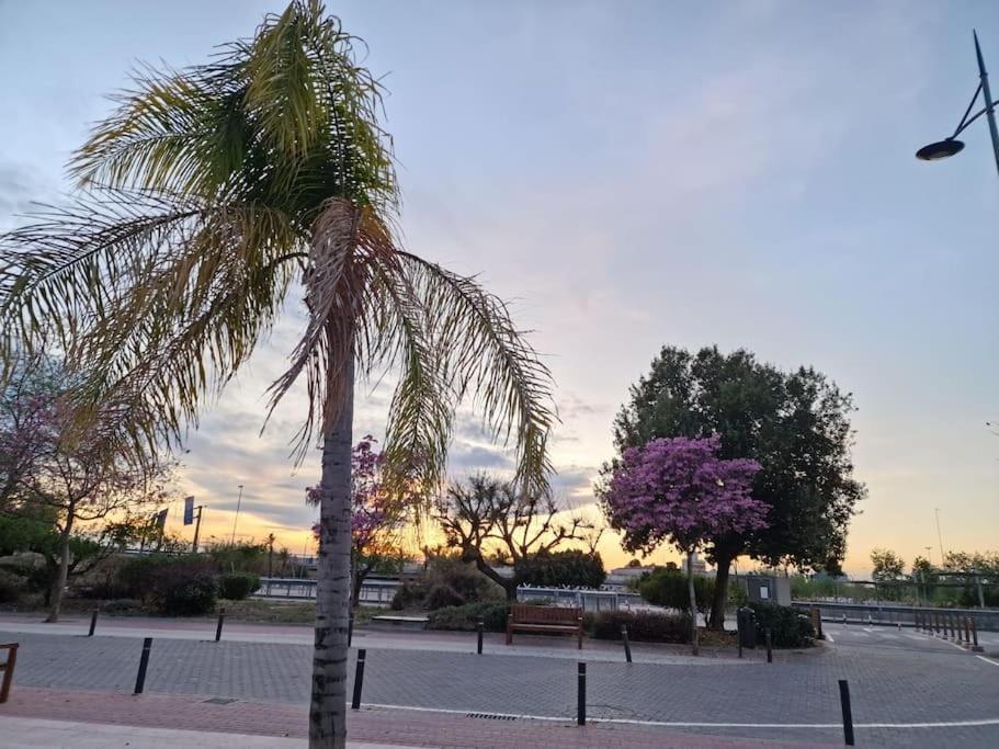 Apartamento Jacaranda 木尔西亚 外观 照片